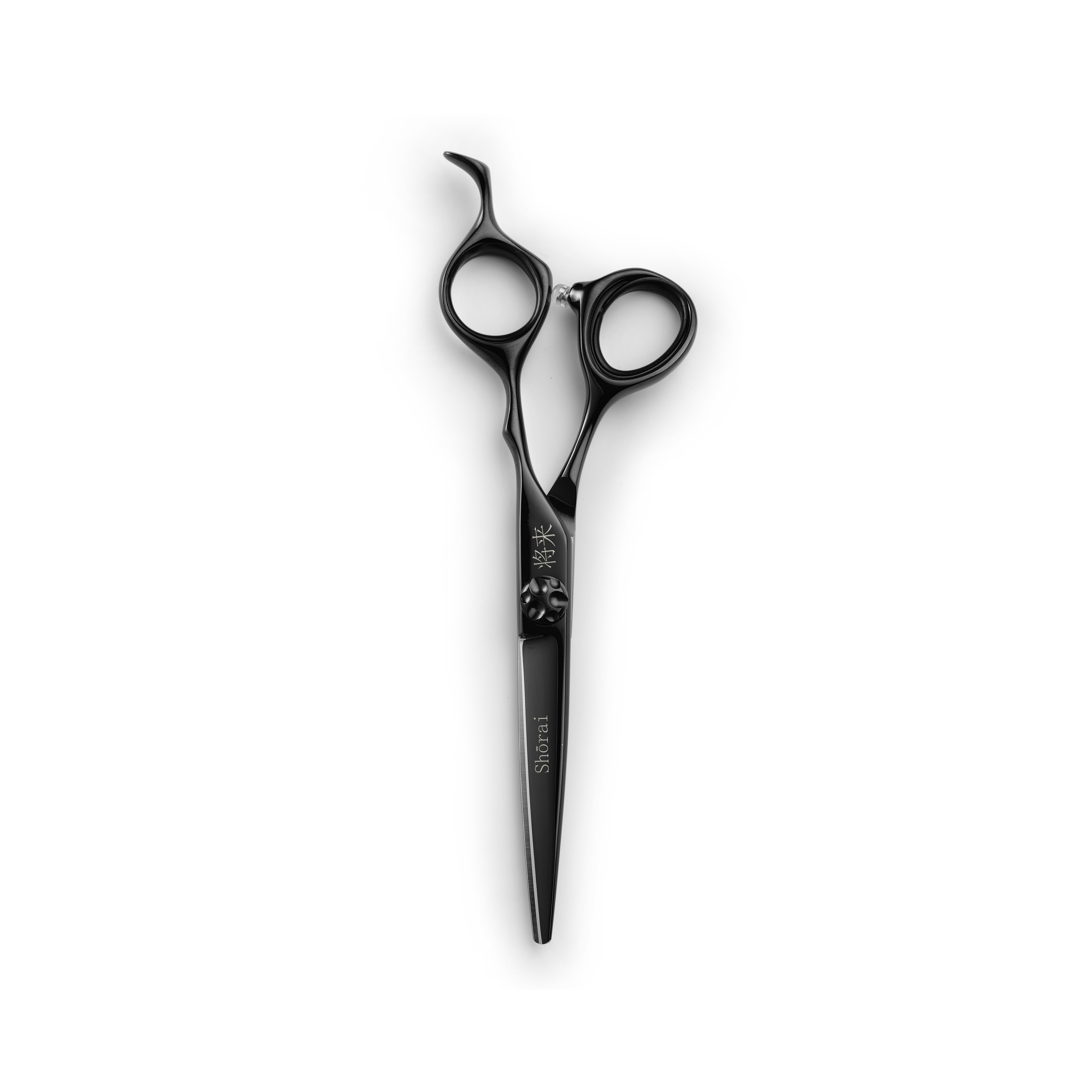 Shorai SC Black 55 (5,5")