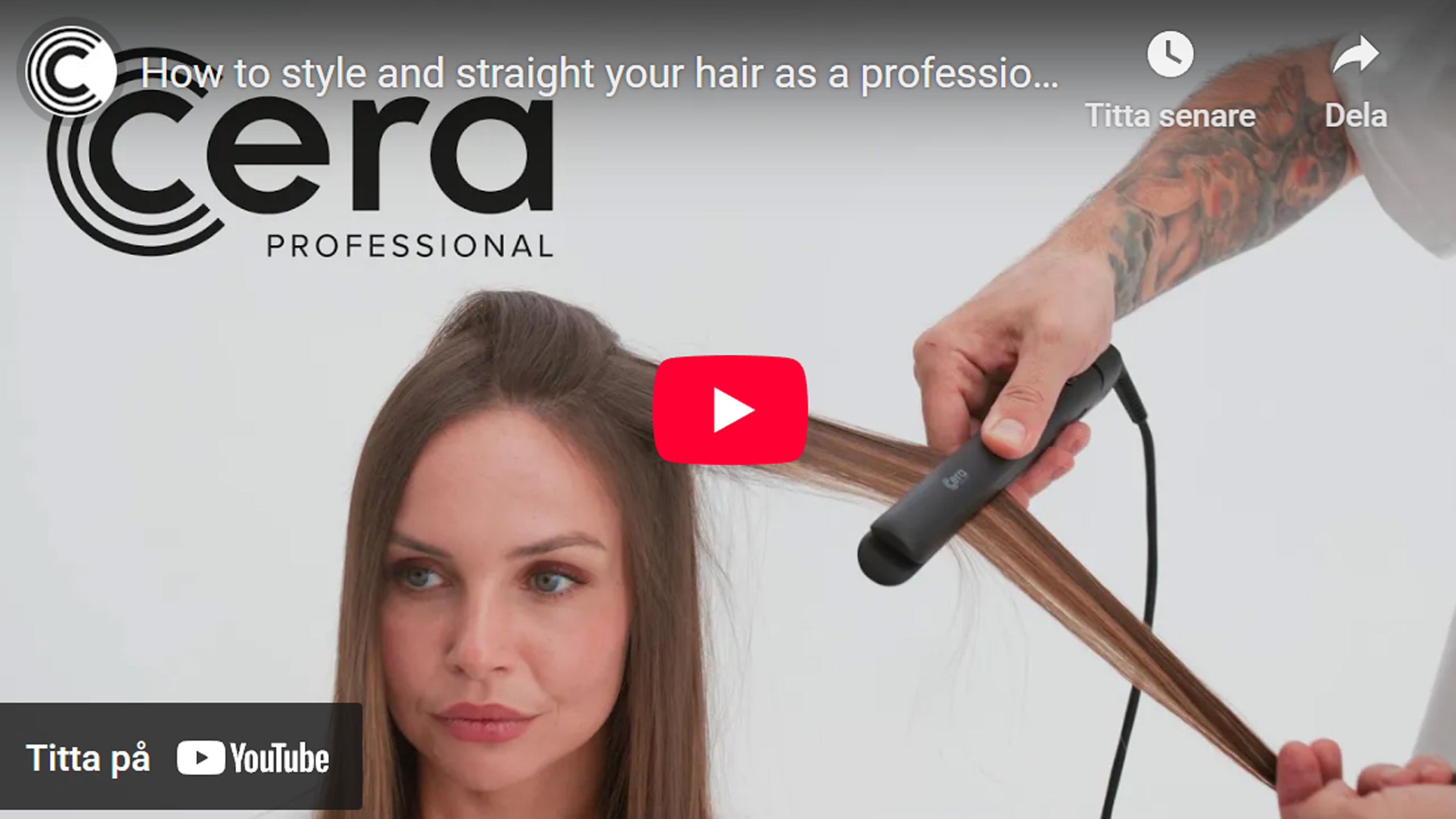 2367 Curlstyler - Styling technique