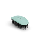 D.Tangled Brush Fresh Mint