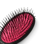 Peniculus Detangle Brushes 12 pcs Display