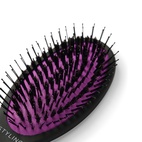 Peniculus Detangle Brushes 12 pcs Display