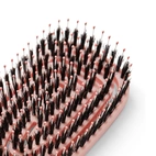 Peniculus Flexibrush Combo 12 pcs Display - Mixed colors