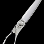 Joewell Coaxis-580