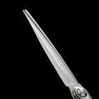 Joewell Coaxis-580