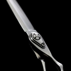 Joewell Coaxis-580