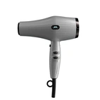 JRL FP 2020L Hair Dryer - Silver