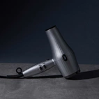 JRL FP 2020L Hair Dryer - Silver