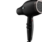 JRL FP 2020L Hair Dryer - Black